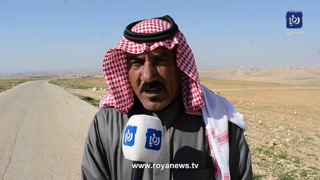 مواطن يتبرع بقطعة أرض لإيواء الكلاب الضالة في عمان