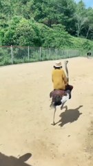 Please!,,, OMG.!! this is too fast.!