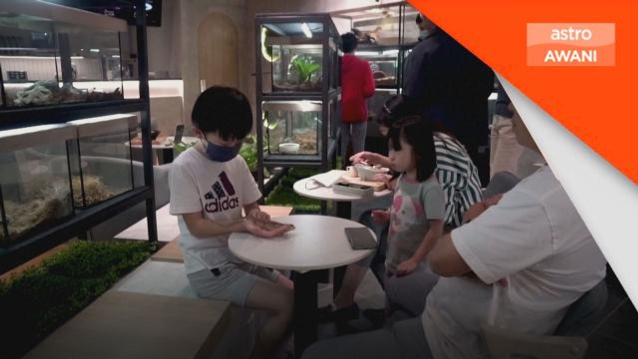 Snakes, lizards and desserts meet in Malaysia's first reptile cafe