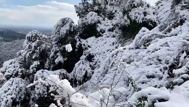 Nieve en Begues (Baix Llobregat)