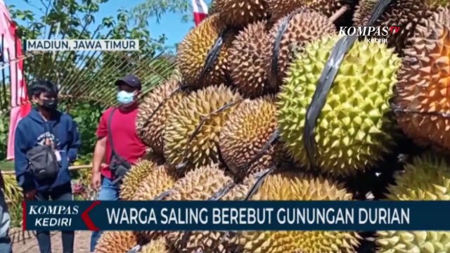 Ratusan Warga Berebut Gunungan Durian di Festival Durian Madiun
