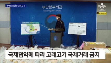 명태의 탈을 쓴 고래고기…소량 수산물로 속여 밀수입