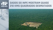 Fevereiro registra recorde de alertas de desmatamento na Amazônia