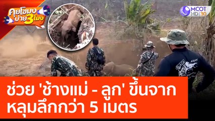 ช่วย 'ช้างแม่ - ลูก' ขึ้นจากหลุมลึกกว่า 5 เมตร (27 ก.พ. 66) คุยโขมงบ่าย 3 โมง