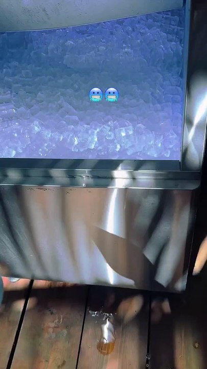 Ils en ont également profité pour s'adonner à un petit jeu plutôt rafraîchissant !Joalukas Noah et son frère Joakim en vacances à Miami