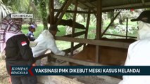 Vaksinasi PMK Dikebut Meski Kasus Melandai