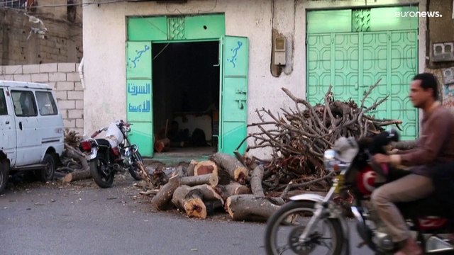 فيديو: بسبب الفقر وشح الوقود.. اليمينون قطعوا 6 ملايين شجرة منذ بدء الحرب