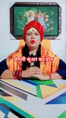 जंगली सूअर का दांत #shorts #viral