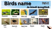 Birds name in hindi and english/commen word meaning/ पक्षियों के नाम हिंदी और इंग्लिश में#learn english#english#sabdcosh 111