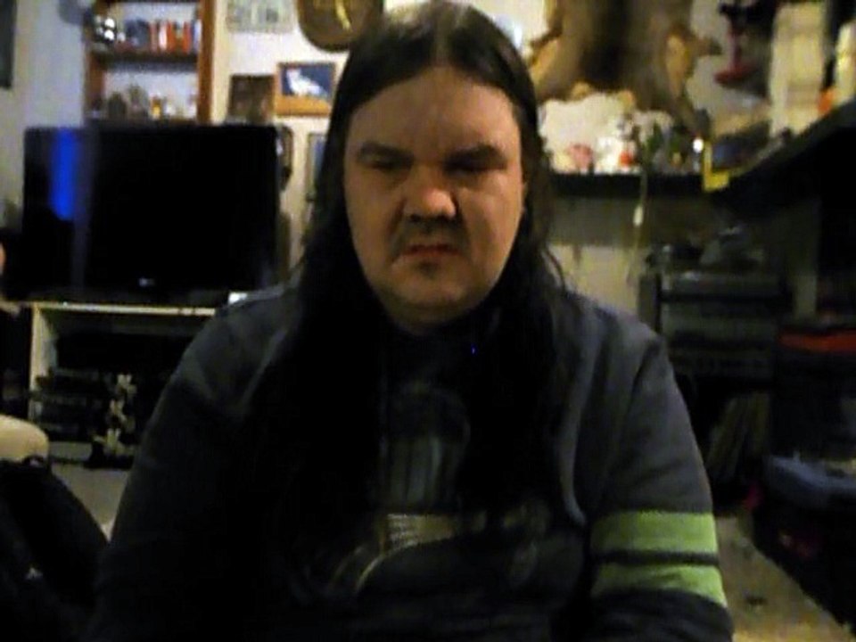 Koirien Ihmettelyä