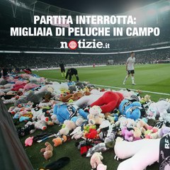 Piovono peluche per i bambini del terremoto in Turchia