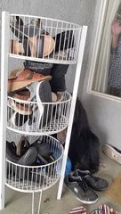 Bear Wants To Be Real Estate Agent