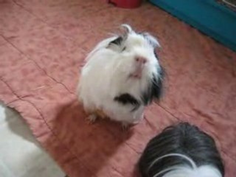 Bild 018