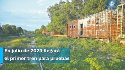 1° de diciembre inicia operaciones el Tren Maya, asegura Sedena