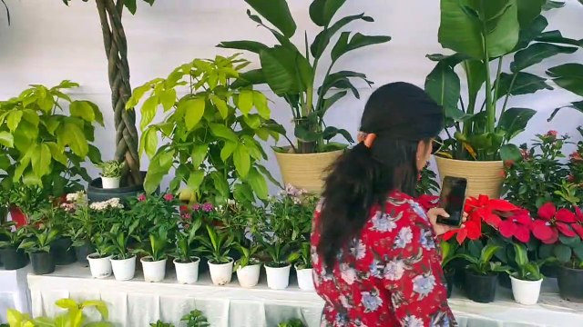 400 किस्म के गुलाबों की खुशबू से गुलजार हो उठा सिटी पार्क .. देखें वीडियो...