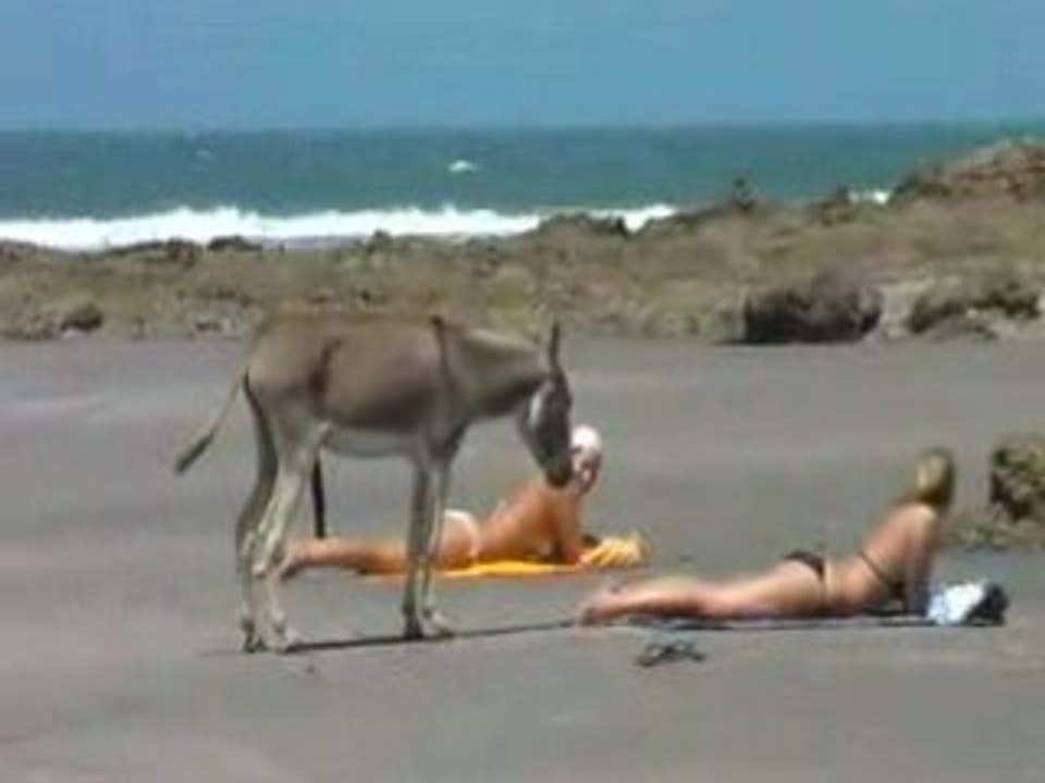 Il a pas mavais gout en plus,lol........