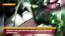 Prefectura secuestro cerca de 1.400 kilos de Cannabis sativa