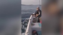 Exhausted deer pulled out to sea rescued by passing fishermen