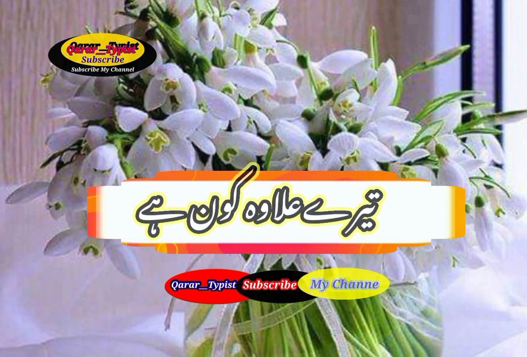 Teeri ilawa kona khai | تیرےعلاوہ کون ہے | qarar__typist