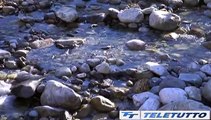 Video News - ACQUA, LAGHI IN DEFICIT