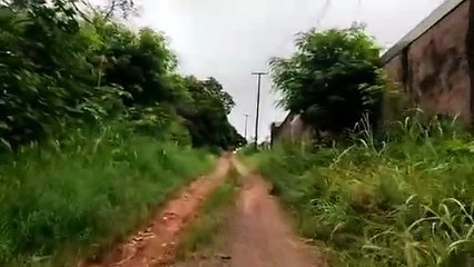 Umuaramenses questionam matagal na estrada onde foi desovado corpo de vítima do serial killer