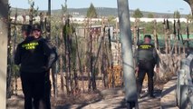 Investigan la muerte de una menor por arma de fuego en El Rubio y su expareja es detenido