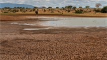 Face à la sécheresse, ces communes ne délivreront plus de permis de construire