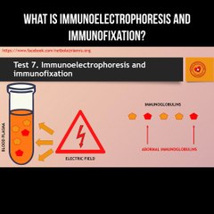 Understanding Immunoelectrophoresis & Immunofixation: Key Diagnostic Techniques 🧬
