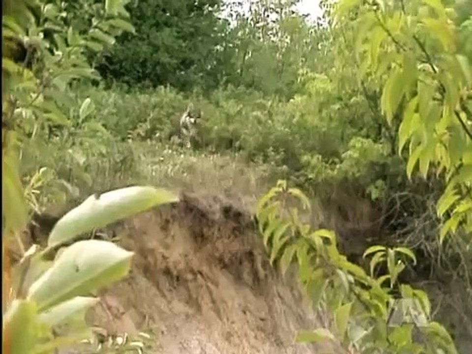 The Littlest Hobo - Se5 - Ep15 HD Watch