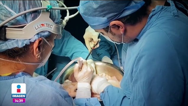 Hoy es Día Mundial del Trasplante de Órganos y Tejidos