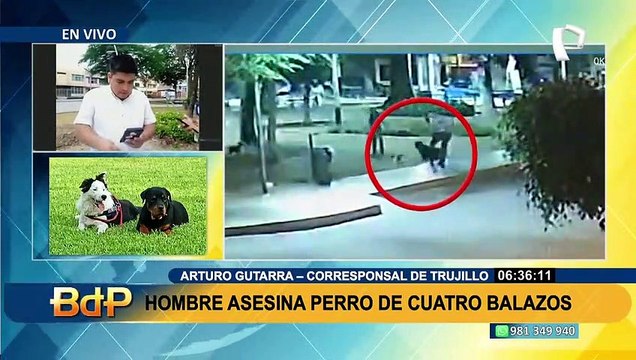 Justicia para Teo: sujeto dispara 4 veces contra perro que jugaba en parque de Trujillo