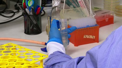 Report warns of deadly antibiotic resistant superbugs