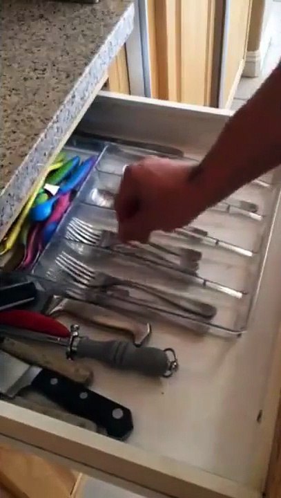 Yeteneğin Böylesi İzlemeye Değer..