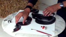 3D Drawing of a Lifelike Snake - 3D Painting Optical Illusion - Live Drawing For Hand