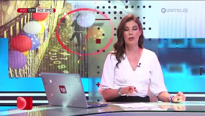 Video: Ladrón usó un arma de fuego para amenazar a un perro y llevarse su casa de madera