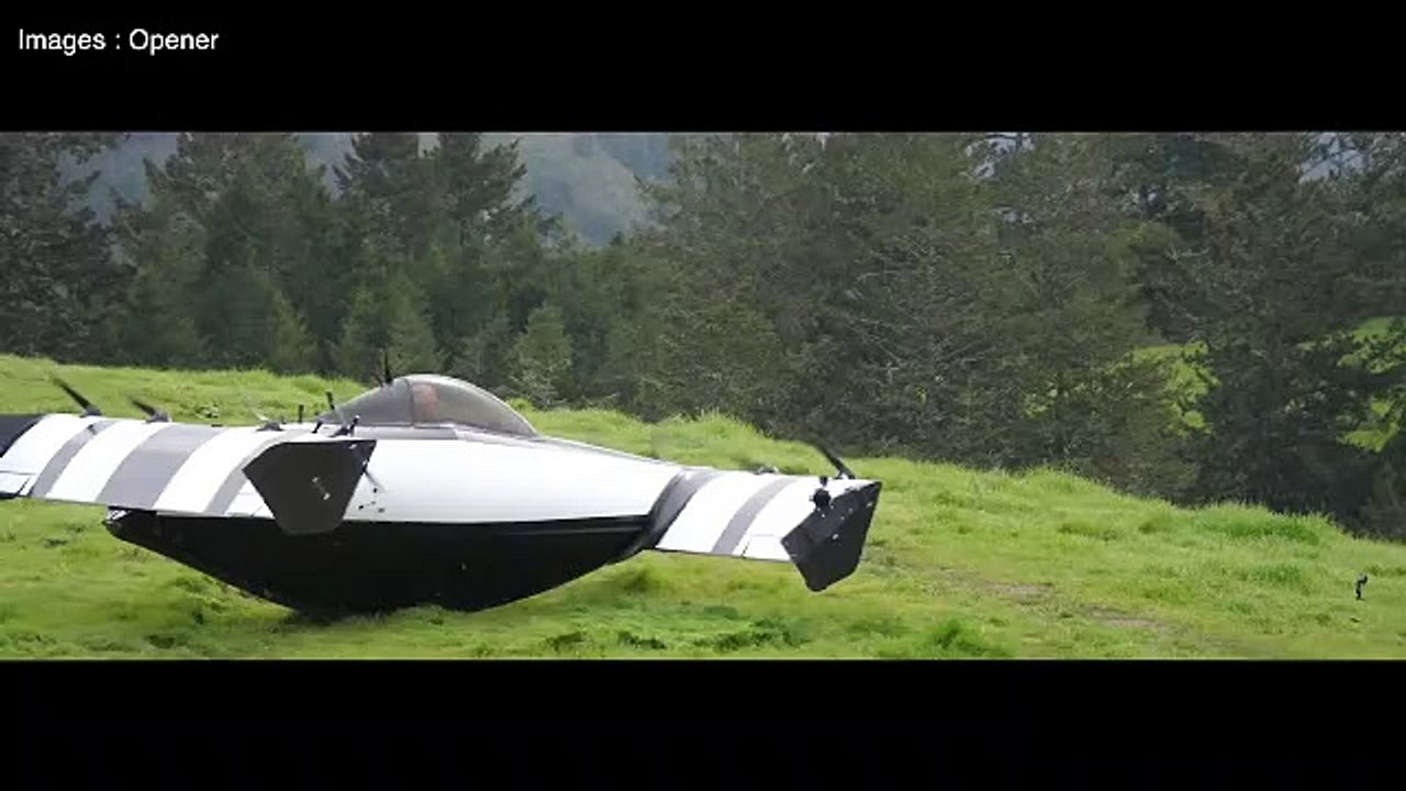 Blackfly (Concept)