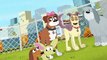 Pound Puppies 2010 Pound Puppies 2010 S02 E011 No Dogs Allowed