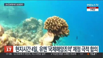 유엔, 국제해양조약 제정 합의 …전 세계 바다 30% 보호구역