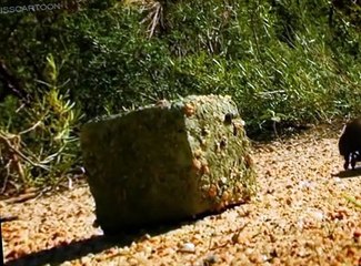 Minuscule Minuscule S02 E022 Dung Beetle Blues