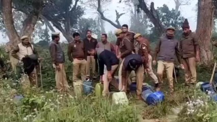 महराजगंज: होली पर्व को लेकर आबकारी विभाग ने कच्ची शराब के खिलाफ चलाया अभियान