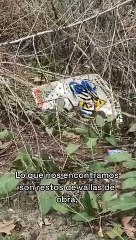 Alcalá de Henares: Denuncian la proliferación de ratas en el paseo del arroyo Camarmilla