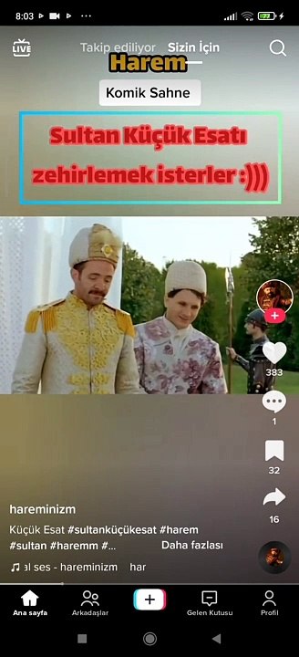 Sultan küçük Esati zehirlemek isterler.