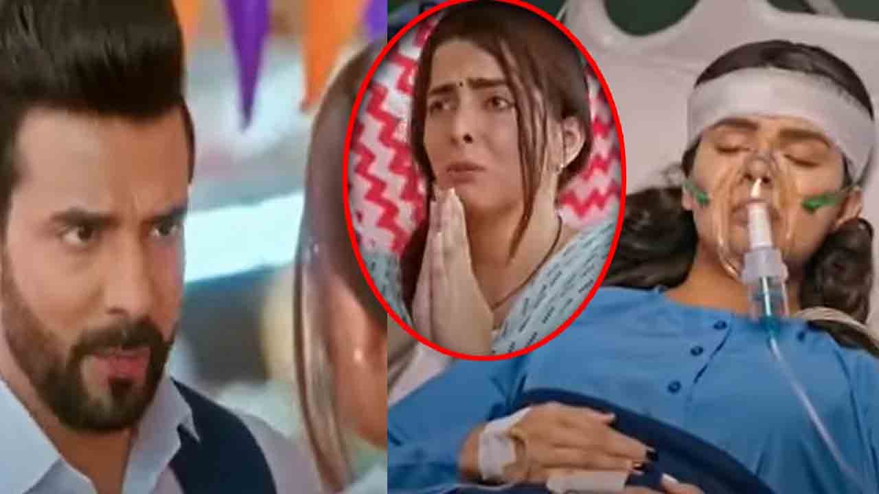 Kundali Bhagya spoiler; Arjun Preeta के रोमांस के बीच फिर Natasha? सच तक पहुंचा Rishabh |*Spoiler