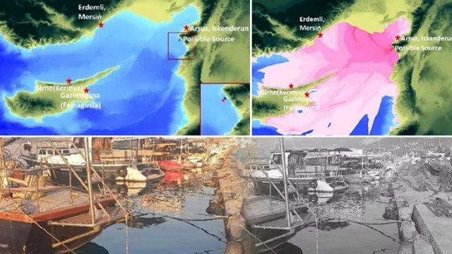 ODTÜ deprem sonrası tsunami raporunu tamamladı: 20 santimetre su düzeyi değişiklikleri ölçülmüştür
