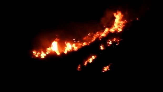 கொடைக்கானல் - பழனி சாலை வனப்பகுதியில் காட்டுத்தீ! - வனத்துறையினர் போரட்டம்!