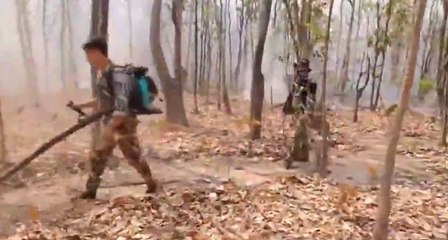 ดับแล้ว! เจ้าหน้าที่เข้าดับไฟป่าที่ไหม้นานกว่า 4 วัน เสียหายกว่า 40 ไร่