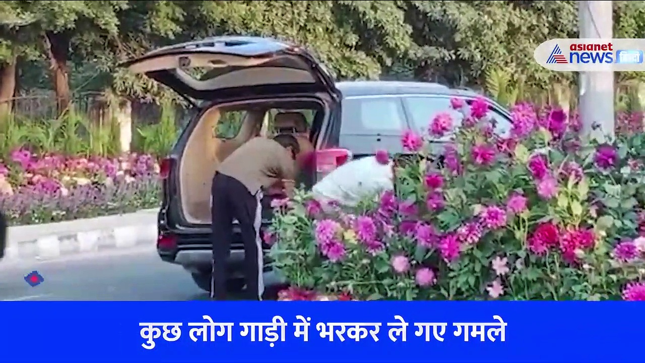 शख्स की इस हरकत को देखकर G20 के मेहमान क्या कहेंगे? डिक्की में भरकर ले जाने लगा गमले