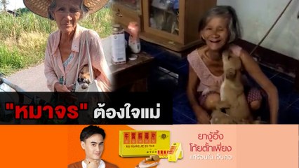 เมื่อ "แม่" อยากเลี้ยงหมาจร ก็จับใส่ย่ามกลับบ้านเลย