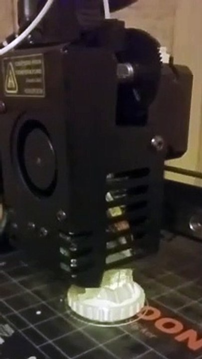 3d Printing The Guardian