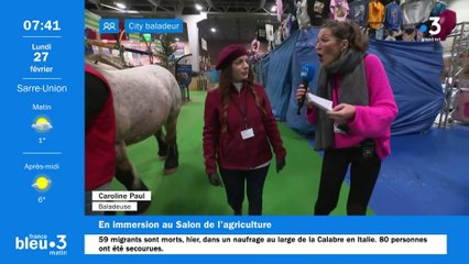 En direct du salon de l'agriculture 2023 : élevage Thomas et Franck Lehmann à Mothern